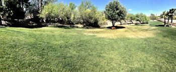 4 Acre park